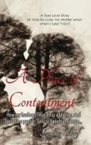 A Place Of Contentment: How My Husband Beat Drug Addiction, And Became A Pastor, Only To Be Left In Silence