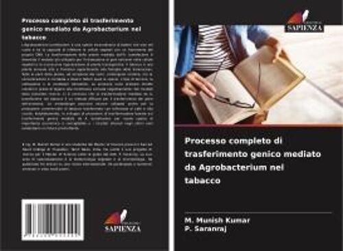 Processo Completo Di Trasferimento Genico Mediato Da Agrobacterium Nel Tabacco