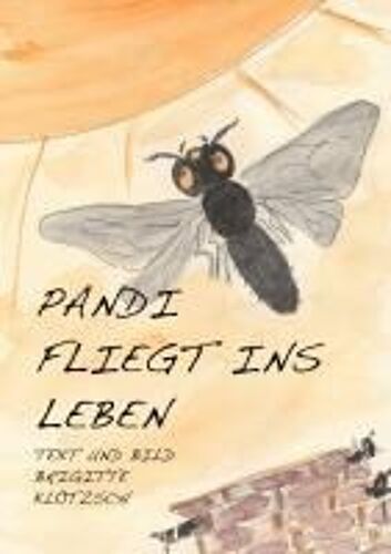 Pandi Fliegt Ins Leben