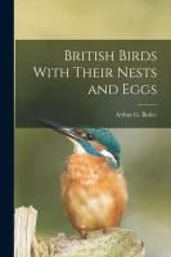 British Birds With Their Nests And Eggs