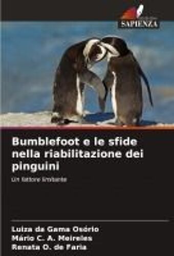 Bumblefoot E Le Sfide Nella Riabilitazione Dei Pinguini