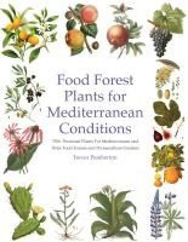 Food Forest Plants For Mediterranean Conditions