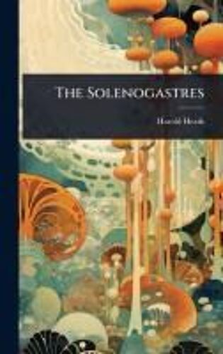 The Solenogastres