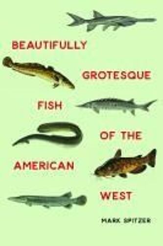 Beautifully Grotesque Fish Of The American West