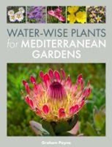 Water-Wise Plants For Mediterranean Gardens