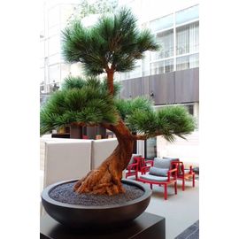 Bonsaï Pinus Artificiel 80 Cm Uv