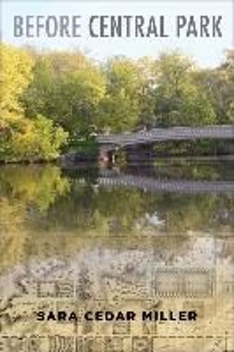Before Central Park