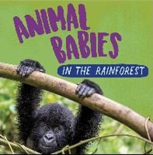 Animal Babies: In The Rainforest
