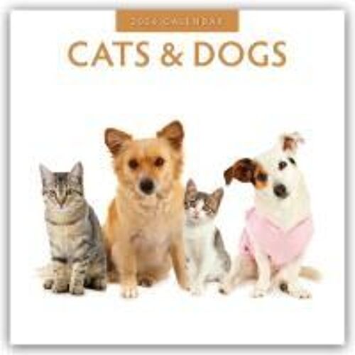 Cats & Dogs 2026 Square Wall Calendar