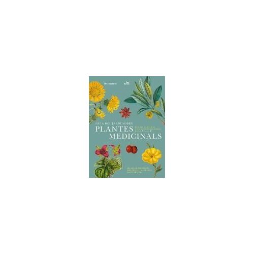 Guia Del Jardí Sobre Plantes Medicinals