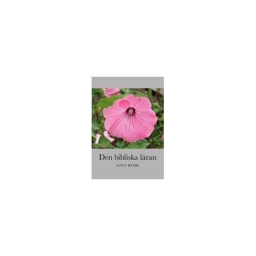 Den Bibliska Läran