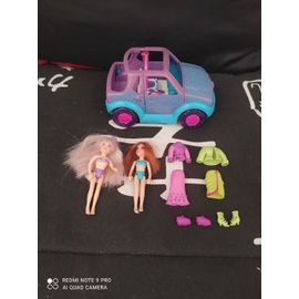 Lot Polly pocket