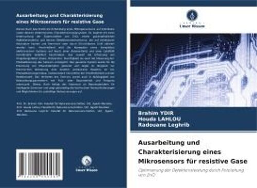 Ausarbeitung Und Charakterisierung Eines Mikrosensors Für Resistive Gase