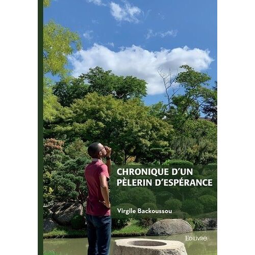 Chronique D'un Pèlerin D'espérance