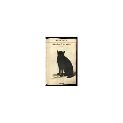 Indagine Di Un Gatto