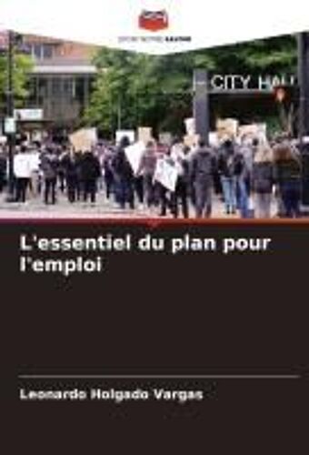 L'essentiel Du Plan Pour L'emploi