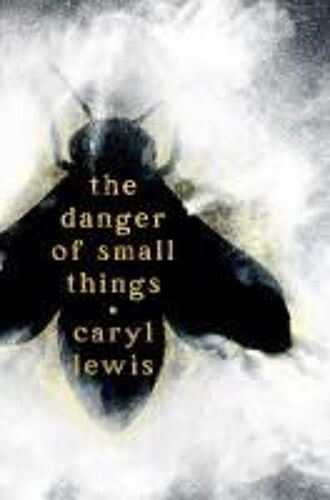 The Danger Of Small Things
