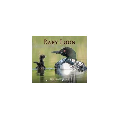 Baby Loon