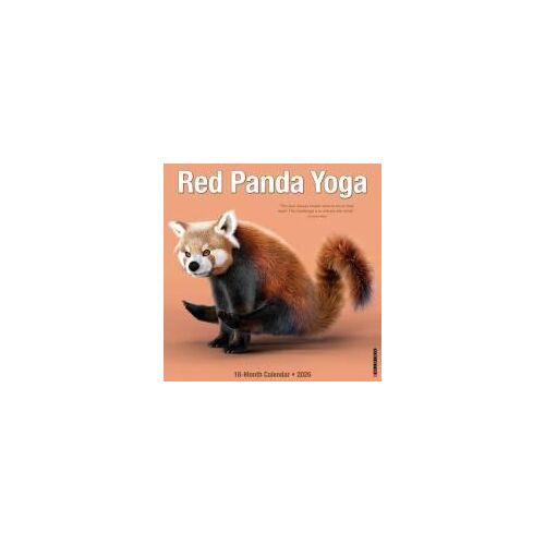 Red Panda Yoga 12 X 12 Wall Calendar