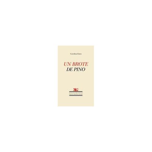 Un Brote De Pino