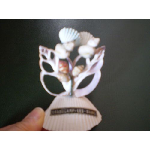 Oiseau En Coquillage