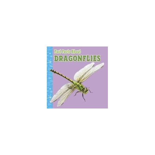 Fast Facts About Dragonflies