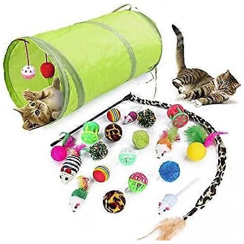 Jouets Pour Chats 21 Pcs Chaton Jouets Chat Jouets Interactifs Ensemble Pour Chats D'intérieur