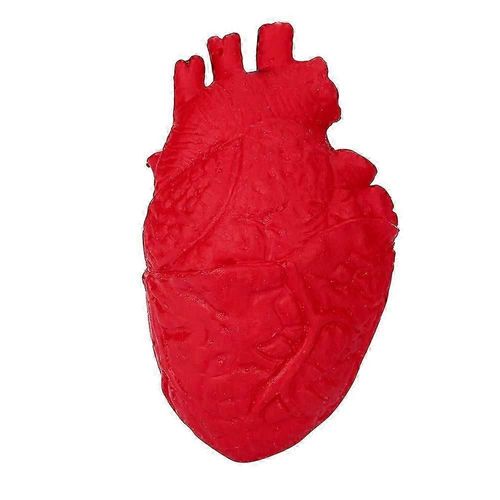 Nouveauté en silicone anti-stress balle effrayant organe coeur squeeze jouet anti-stress jouet