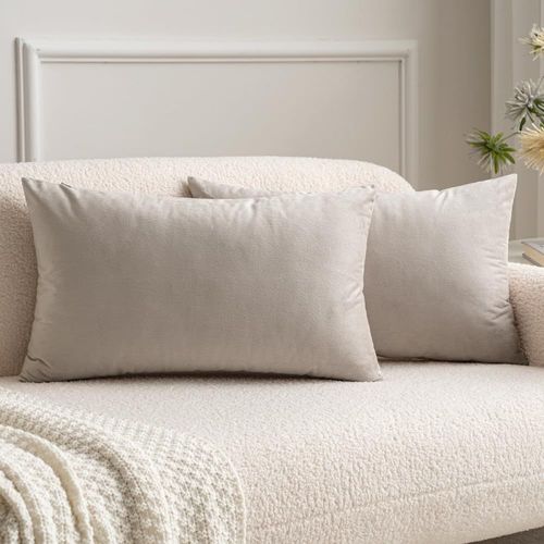 Sjzg-Lot De 2 Housses De Coussins En Velours Décoratif Canapé Taie D'oreiller Super Lisse Doux Decoration Maison Salon Chambre Pour Canapé 2 Pièces 30x50cm Champagne