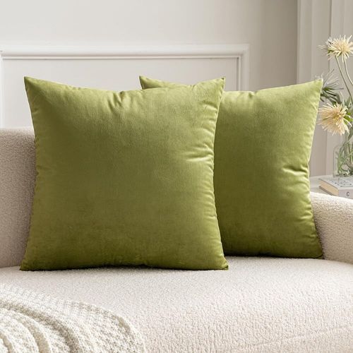 Cauc-Lot De 2 Housses De Coussins En Velours Décoratif Canapé Taie D'oreiller Super Lisse Doux Decoration Maison Salon Chambre Pour Canapé 2 Pièces 40x40cm Vert