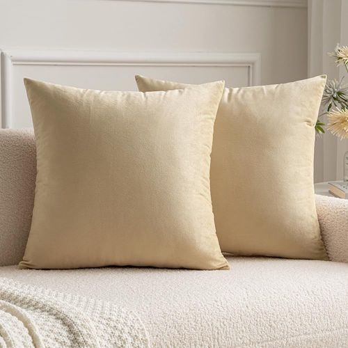 Sjzg-Lot De 2 Housses De Coussins En Velours Décoratif Canapé Taie D'oreiller Super Lisse Doux Decoration Maison Salon Chambre Pour Canapé 2 Pièces 40x40cm Beige Foncé