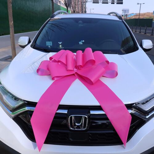 Kal-N?Ud Géant Pour Voiture - Xxl 76 Cm, Grand Noeud Rose Pour Voiture, Vélo, Noël, Grand Cadeau De Mariage, Fête, Grande Maille, Noeud Cadeau Avec Rubans De 185 Cm - Tient Avec Ventouse