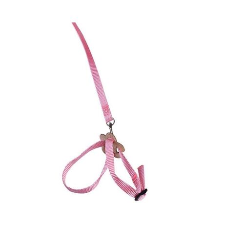 Harnais Rose Réglable Pour Reptiles, Lézards, Perroquets Et Tortues - Laisse Légère Pour Animaux De Compagnie Avec Sangle En Forme De 8 Pour Une Sécurité En Extérieur