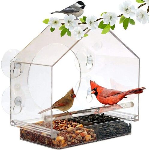 Mangeoire À Oiseaux De Luxe Pour Fenêtre Avec Plateau À Graines Coulissant Et Ventouses Robustes - Parfait Pour Les Amateurs D'observation Des Oiseaux