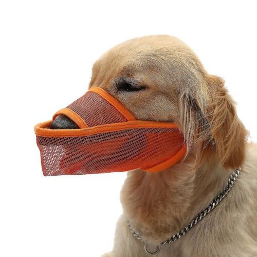 Muselière En Maille Orange Vif Pour Petits Chiens - Sûre, Confortable Et Respirante Pour L'entraînement Et Les Visites Chez Le Vétérinaire