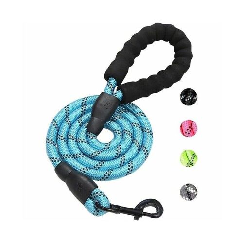 Laisse Réfléchissante Multicolore Pour Chien - 2 M En Nylon Durable Avec Poignée En Mousse Confortable Pour Des Promenades Nocturnes En Toute Sécurité