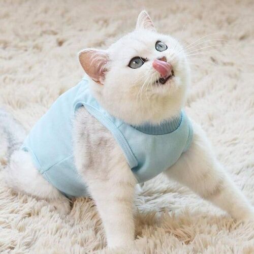 Combinaison De Récupération Bran Cat Pour Plaies Et Soins De La Peau - Confortable, Résistante Aux Fuites, En Coton Respirant, Idéale Pour La Post-Opératoire Et La Protection
