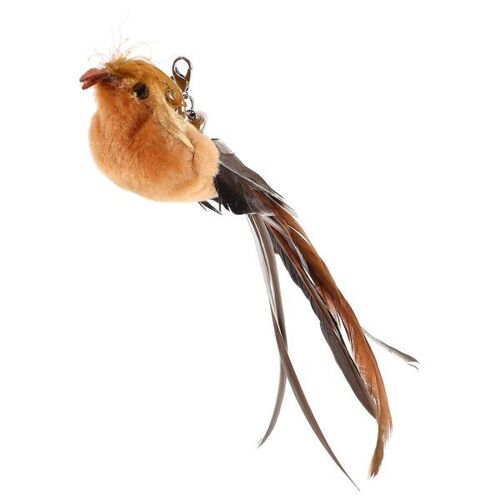 Recharge De Baguette Interactive Pour Chat - Accessoire Plume Captivant Pour Des Heures De Jeu Et De Création De Liens Avec Vos Amis Félins