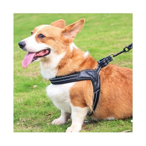 Gilet Réfléchissant Réglable Pour Chien - Noir (Petit) Pour Plus De Sécurité Et De Confort Pendant Les Promenades - Ne Tire Pas, Respirant, Facile À Utiliser