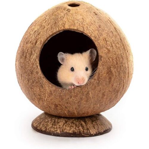 Cabane Tropicale En Noix De Coco Pour Petits Animaux  - Refuge Douillet Pour Hamsters, Gerbilles, Souris Et Plus Encore - Décoration De Cage Écologique Et Charmante