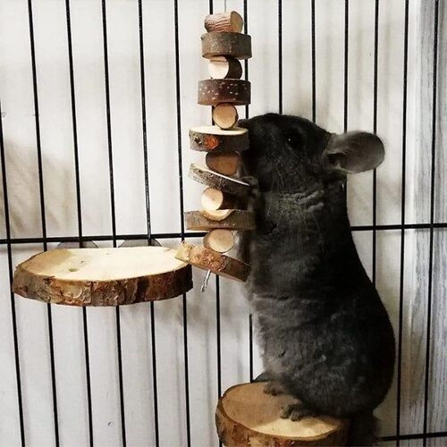 Jouets À Mâcher En Bois De Pommier Naturel Pour Petits Animaux ¿ Lot De 2 Blocs Suspendus Pour Une Bonne Santé Dentaire Et Un Soulagement De L'ennui