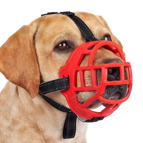 Muselière Confortable Et Durable Pour Chiens De Toutes Tailles - Empêche La Mastication Et Les Morsures, Ajustement Réglable, Conception Sûre Pour Les Chiens De Petite, Moyenne Et Grande Taille