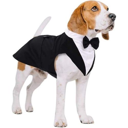 Ensemble Élégant Smoking Et Bandana Pour Chien Pour Mariages Et Fêtes ¿ Tenue De Soirée Élégante Pour Chiens De Moyenne Et Grande Taille