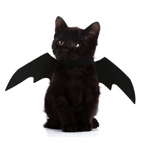 Charmant Costume D'ailes De Chauve-Souris Pour Chiens De Taille Moyenne - Parfait Pour Halloween Et Les Fêtes De Fin D'année