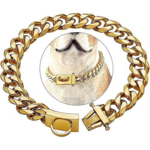 Collier Pour Chien En Or De Qualité Supérieure - Robuste, Résistant À La Mastication, Boucle Sécurisée, Élégant En Acier Inoxydable 316, Ajustement Réglable Pour Un Confort Ultime.