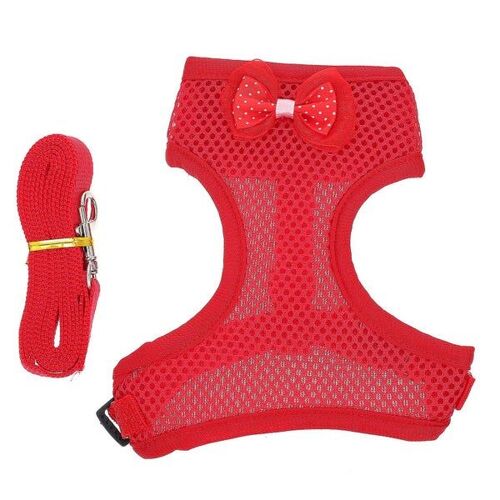 Ensemble De Harnais Et Laisse Pour Poulets Durables - Équipement De Marche Confortable Et Sûr Pour Les Coqs, Parfait Pour Les Aventures En Plein Air