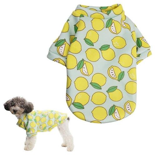 Adorable Ensemble De Pull Citron De Dessin Animé 2 Pièces Pour Animaux De Compagnie - Élégant, Confortable Et Parfait Pour Toutes Les Saisons
