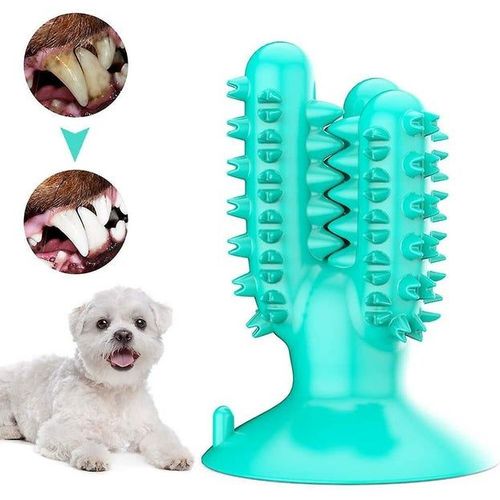 Brosse À Dents Interactive Pour Chien - Bâtonnet De Soins Dentaires En Caoutchouc Naturel Pour Des Dents Et Des Gencives Saines