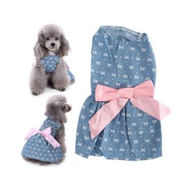 Robe Bleue À Motif Noeud Pour Chien - Tenue D'été Élégante Pour Chiennes