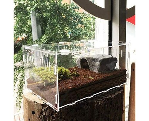 Boîte D'habitat En Acrylique Pour Tarentules - 29 X 19,6 X 15 Cm - Terrarium Transparent Pour Reptiles Avec Couvercle Coulissant Et Ventilation Pour Petits Animaux